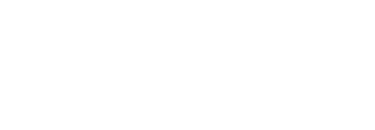 a.m.consult GmbH