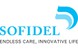 Logo von Sofidel Germany GmbH